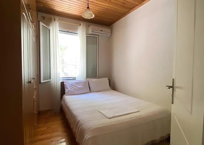 Liana Case de vacanță
